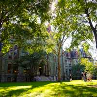 <p>University of Pennsylvania</p>