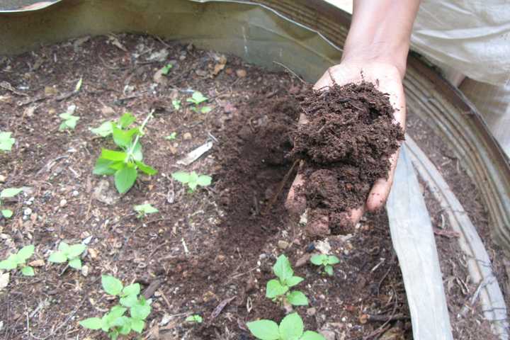 Closter DPW Launches Compost Delivery Program