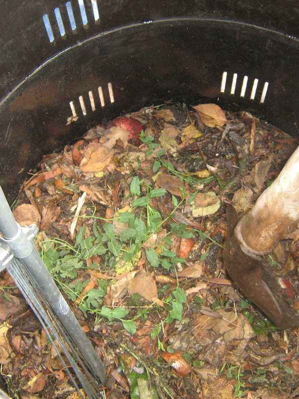 Curbside Compost Offers Service In Ridgefield