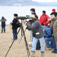 <p>Birders scan the skies for bald eagles roosting along the Hudson River last winter.</p>