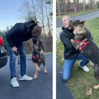 Police K-9 And His Trooper Recover After Hopkinton Car Crashed Into Cruiser