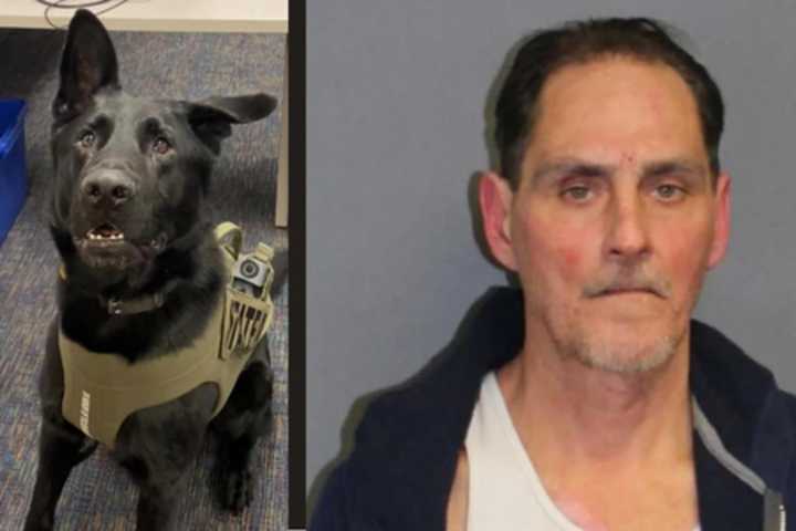 Super Sniffer K9 Noses Out Intoxicated CT Car Thief, State Police Say