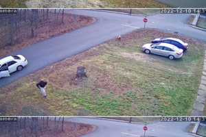 WANTED: Package Poacher Taking Parcels Off Merrimac Residents' Porches