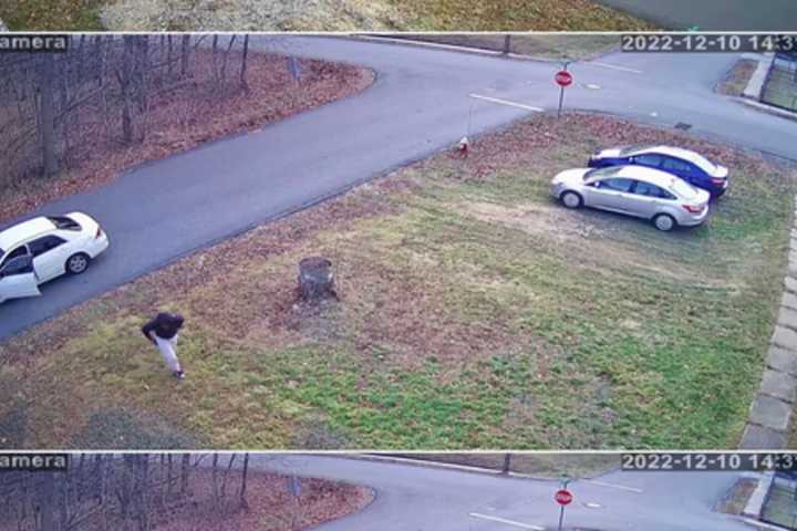 WANTED: Package Poacher Taking Parcels Off Merrimac Residents' Porches