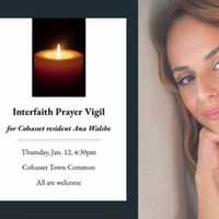 Fundraisers For Ana Walshe Scam Donors During Vigil Preparations