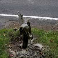 Duo Charged With Blowing Up Mailboxes In Westchester
