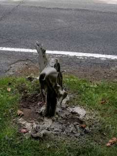 Duo Charged With Blowing Up Mailboxes In Westchester