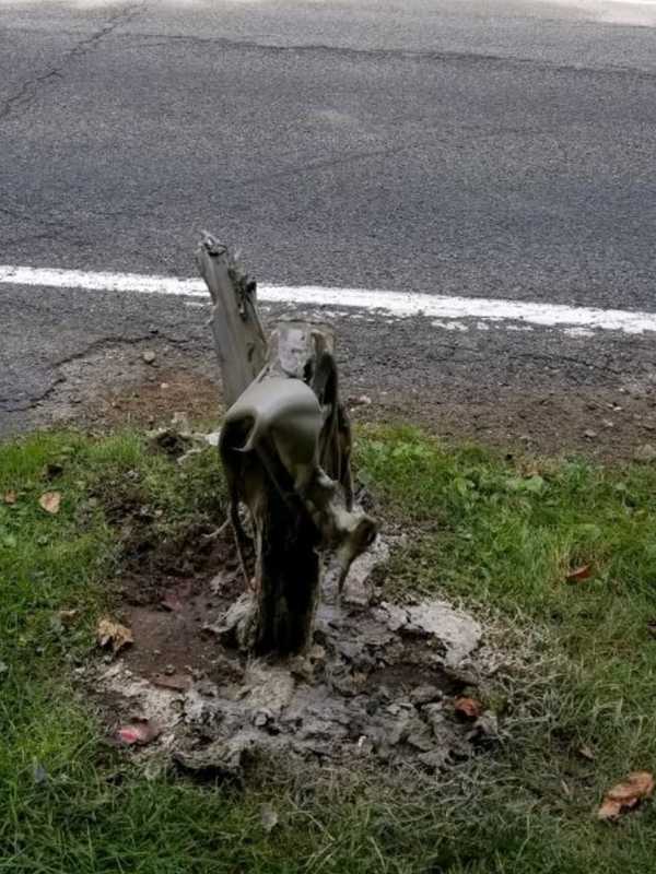 Duo Charged With Blowing Up Mailboxes In Westchester