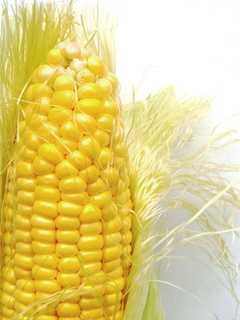 Corn And Tomatoes Take Stage At Farm Fest In Wyckoff