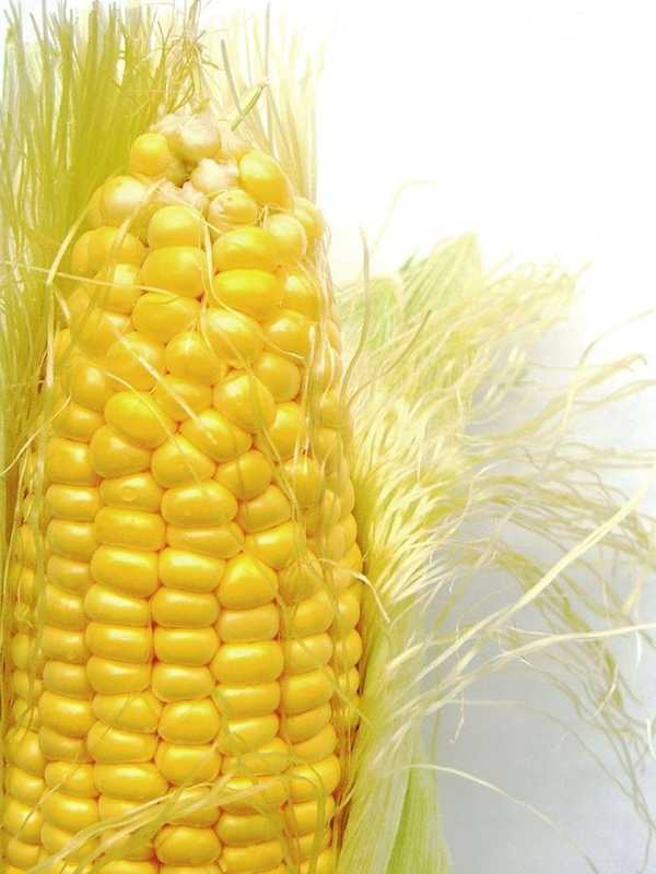 Corn And Tomatoes Take Stage At Farm Fest In Wyckoff