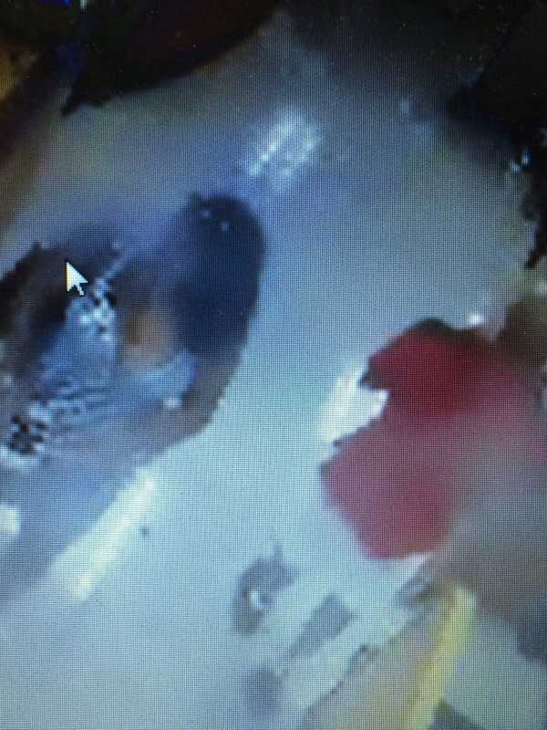 ID Theft Suspect Stole $900 From Cortlandt Kohl's, Police Say
