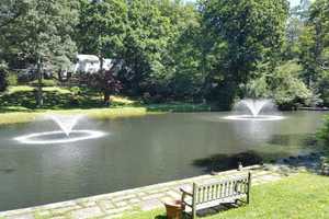 Greenburgh Cleans Up Crane's Pond; Town Hall's Lagoon May Be Next
