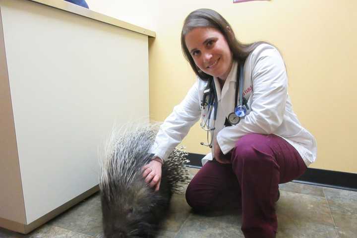 Poughkeepsie Vet Treats Animals Of All Shapes, Sizes