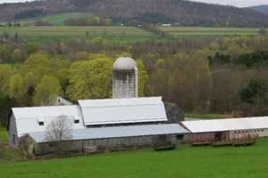 Dutchess Preserves 158 Acres Of Farm Land