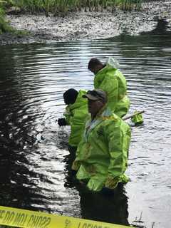 Investigators Renew Search For Human Remains In Binney Park In Greenwich