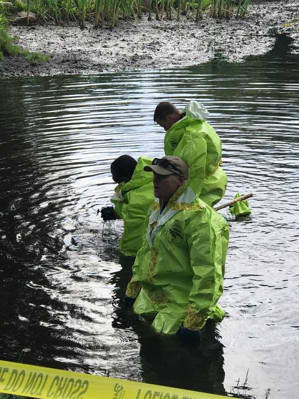 Investigators Renew Search For Human Remains In Binney Park In Greenwich