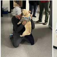 <p>The dog was reunited with its family in DC.</p>