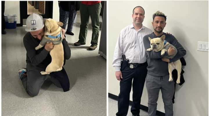 The dog was reunited with its family in DC.