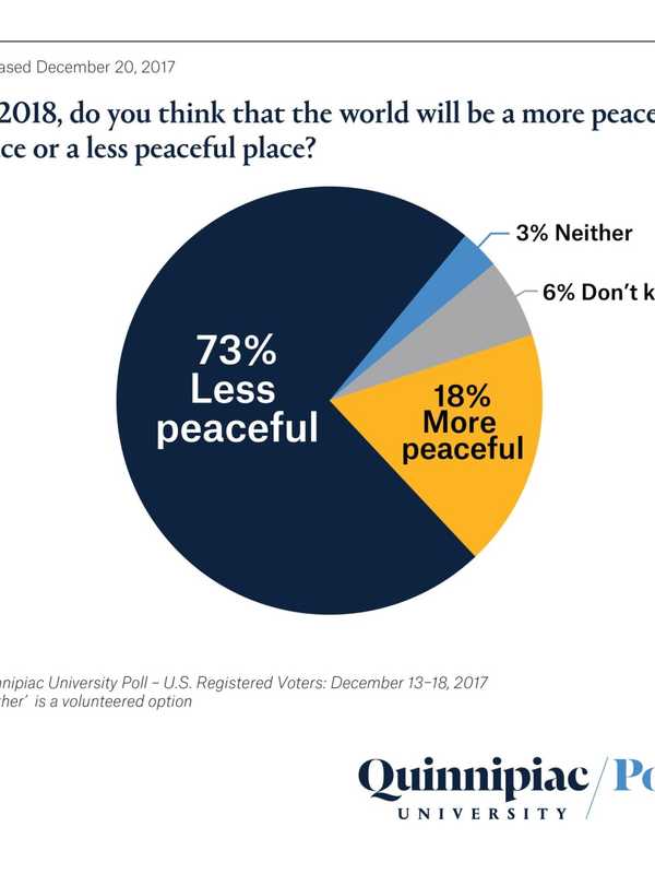 Q Poll: Americans Have Mixed Views For 2018 On World Peace, Strong Economy