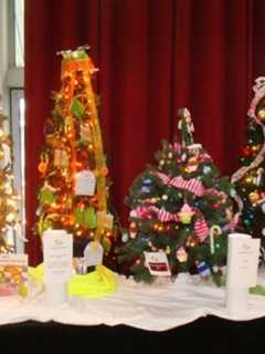 Ann's Place Festival Of Trees In Danbury Helps Those Living With Cancer