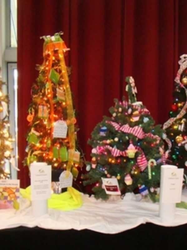 Ann's Place Festival Of Trees In Danbury Helps Those Living With Cancer