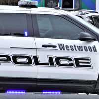 Victim Struck In Face With Airsoft Pellet In Westwood, Drive-By Shooter In Custody, Police Say