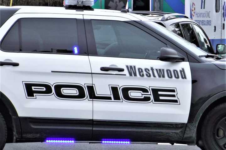 Victim Struck In Face With Airsoft Pellet In Westwood, Drive-By Shooter In Custody, Police Say