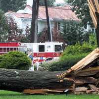 <p>Chainsaw time</p>