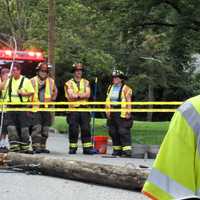 <p>A PSE&amp;G crew responded to replace the pole.</p>