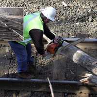 Tree Falls On Tracks In Ridgewood, Delaying Trains