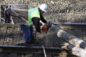 Tree Falls On Tracks In Ridgewood, Delaying Trains