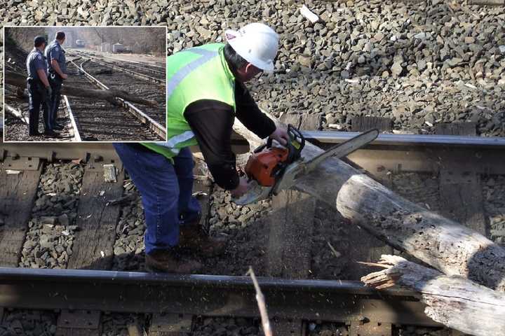 Tree Falls On Tracks In Ridgewood, Delaying Trains