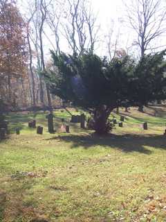 Port Chester Resident Announces Rye Cemetery Achieves Nonprofit Status