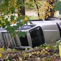 <p>The vehicle came to rest against a tree.</p>