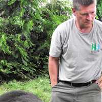 <p>Animal control officers tended to the wayward bear.</p>