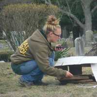 <p>Goat pokes around the Ridgewood cemetery.</p>