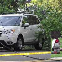 Downed Wires In Ridgewood Trap 15-Month-Old Toddler In SUV