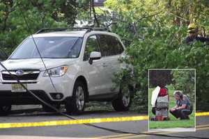 Downed Wires In Ridgewood Trap 15-Month-Old Toddler In SUV