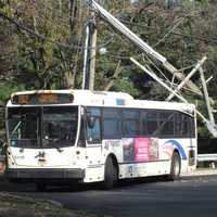 <p>The utility pole got the worst of it on East Ridgewood Avenue in Paramus.</p>