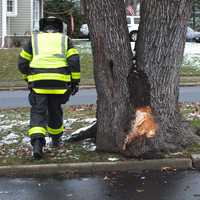 <p>The sedan struck this tree on Plaza Road North near Fernwood Drive in Fair Lawn shortly after 2 p.m. Monday, Dec. 12.</p>