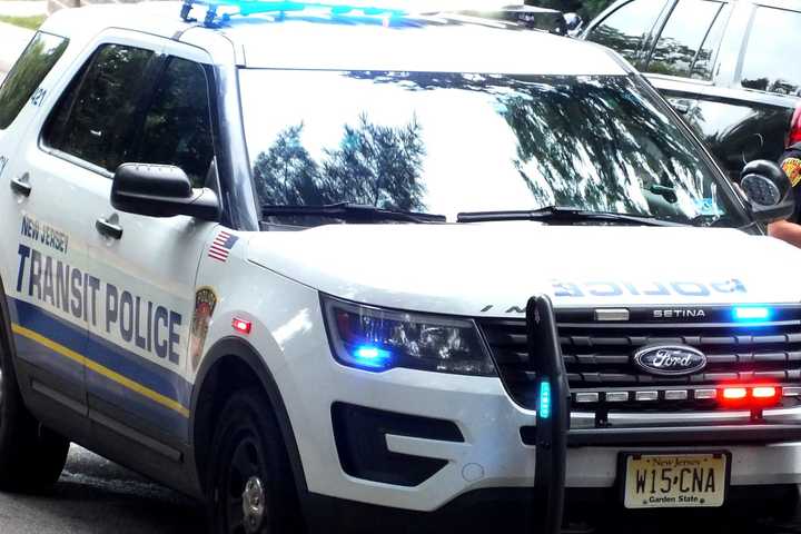 Man Struck By Train In Somerset County