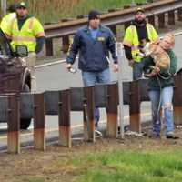 <p>The car came to rest in a grassy ditch between the Exit 168 ramp and the northbound Parkway.</p>