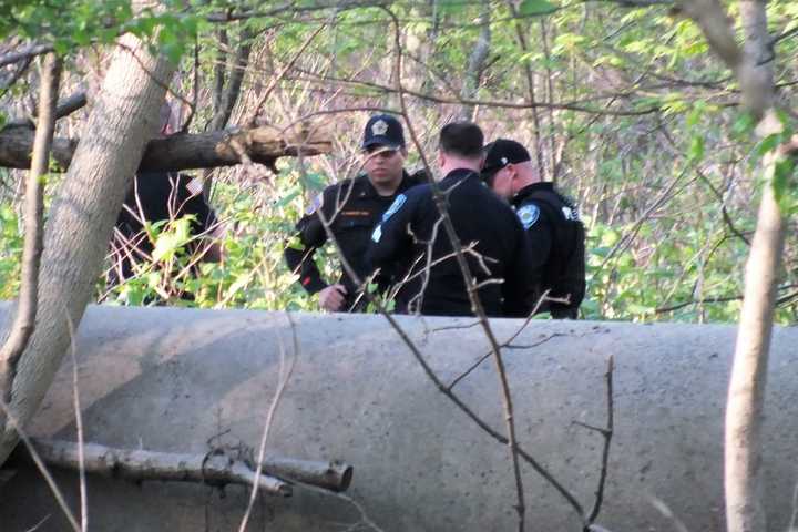 Remains Found In Bergen County Park Are Animal, Authorities Say