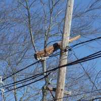 <p>A PSE&amp;G crew was summoned to repair the damaged pole and a broken guy wire in the Hawthorne crash.</p>