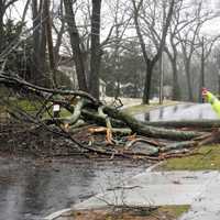 Storm Knocks Ridgewood Church Tree Across Road