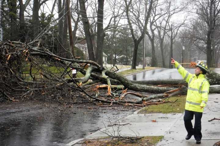 Storm Knocks Ridgewood Church Tree Across Road
