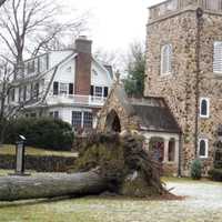 <p>The St. Elizabeth's Church tree fell across Fairmount Road.</p>