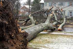Storm Slams Dutchess: 'One Of Worst In Last Half Century'