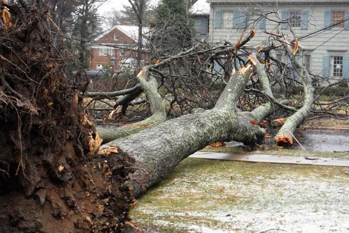 Storm Slams Dutchess: 'One Of Worst In Last Half Century'