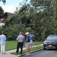 <p>A fallen tree significantly damaged a home and a vehicle parked in a driveway next door on Bedford Place in Glen Rock.</p>